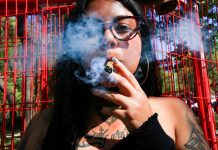 Consumidores lúdicos de marihuana