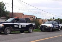 violencia en México