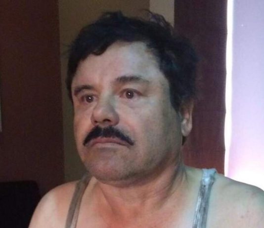 el chapo.