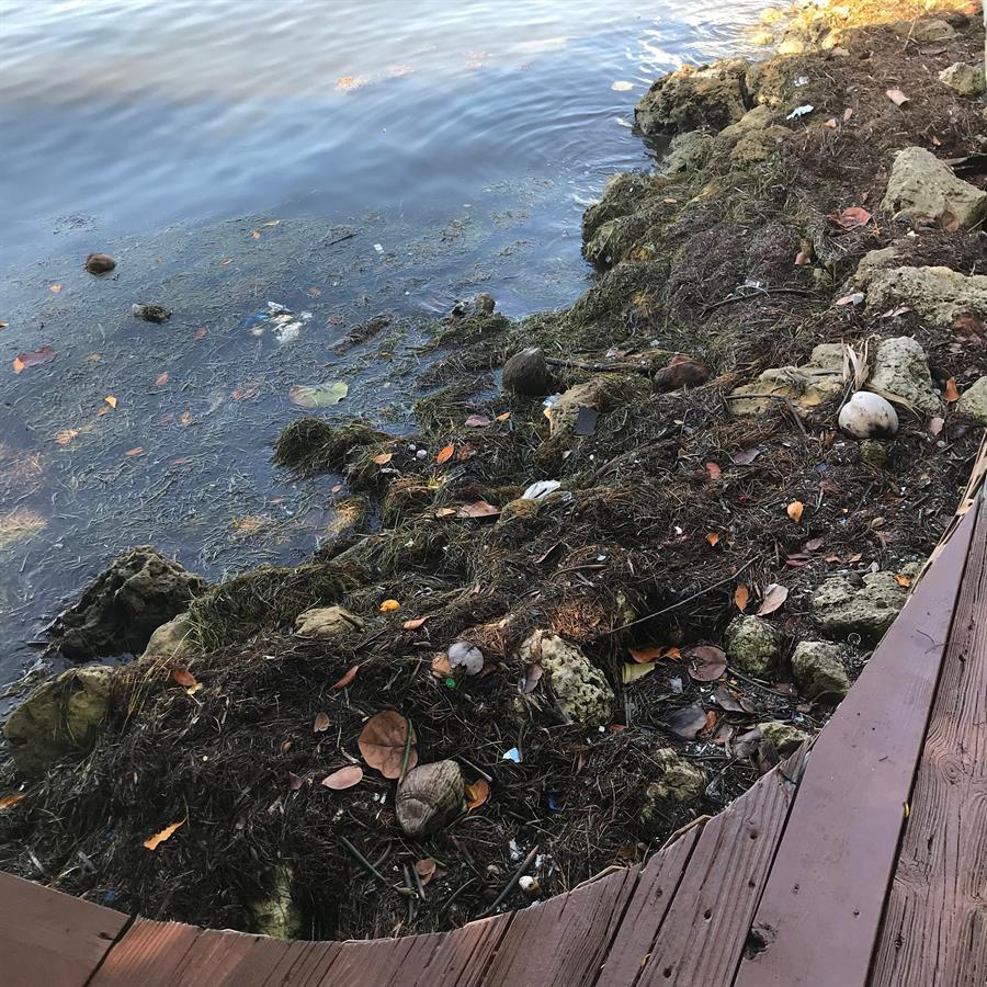 Bah&iacute;a Vizca&iacute;na de Miami (1)