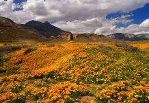 Castner Range