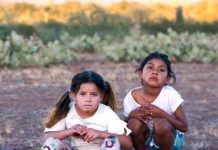 Cine de Nueva York retorna más diverso e inclusivo BURROS
