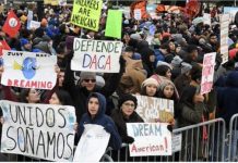 La Cámara de Comercio "hace mucho para promover" reforma migratoria DACA