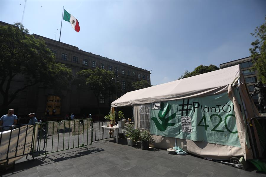 La marihuana en México permanece en un limbo (2)