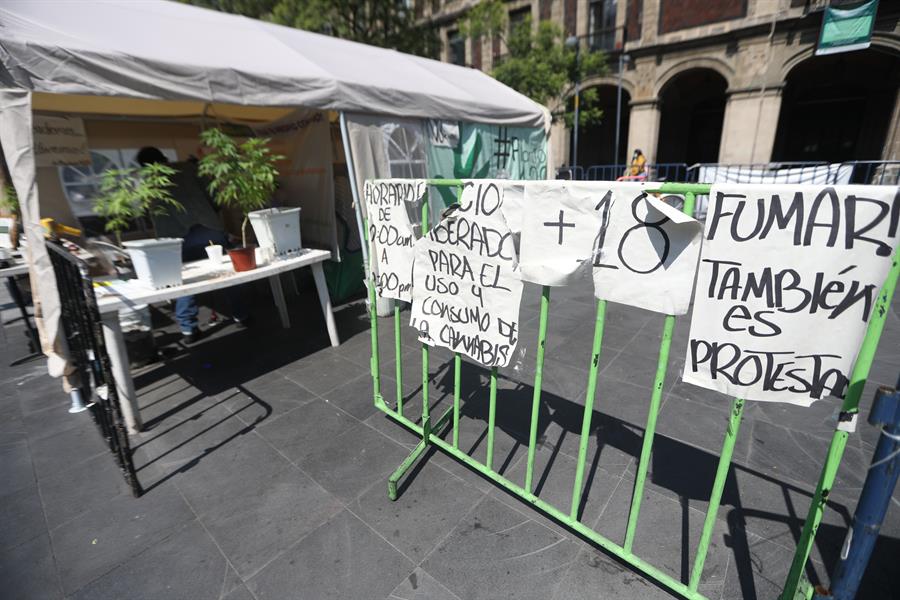 La marihuana en México permanece en un limbo (2)