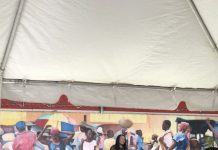 Haitianos en Miami piden a EE.UU. moratoria de deportaciones ante inestabilidad Marleine Bastien