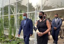 la primera dama haitiana dijo que está considerando seriamente postularse a la Presidencia una vez que se someta a más cirugías en el brazo herido, que cree que es posible que nunca pueda volver a utilizar.