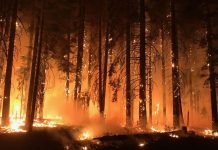 incendios