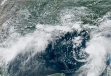 Elsa, a punto de volver a ser huracán, avanza hacia la costa oeste de Florida Tormenta