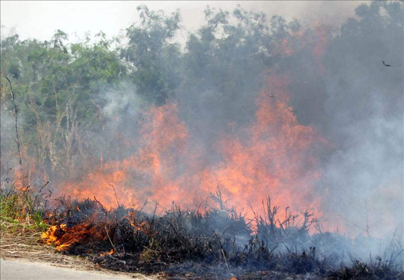 incendio