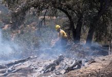 incendios en EEUU