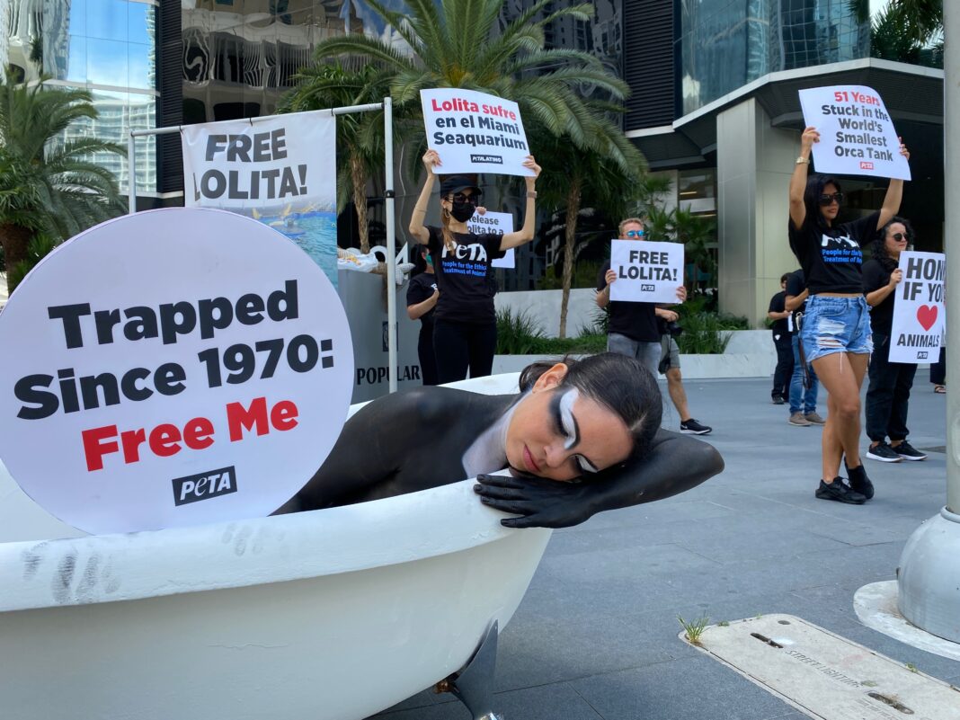 Activistas y simpatizantes de PETA (foto de twitter oficial de PETA)