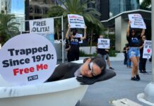 Activistas contra el maltrato animal piden liberar en Miami a la orca Lolita