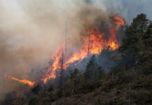 Al menos 8 desaparecidos en zona afectada por enorme incendio en California