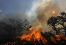 incendios