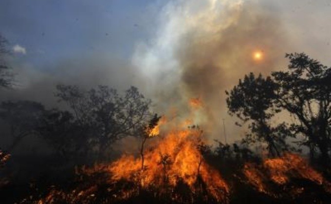 Los incendios forestales afectan a latinos en EEUU incendios