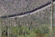 desierto de Arizona