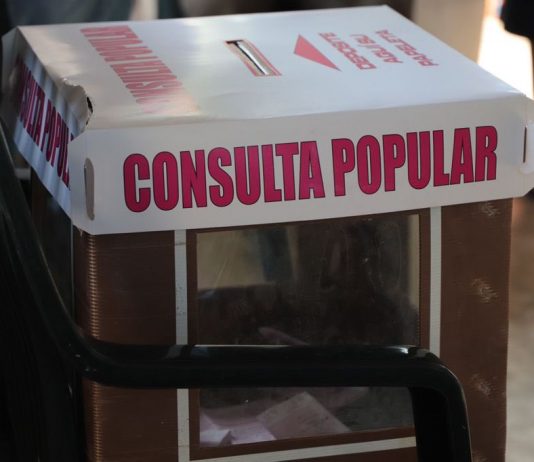 consulta popular en México