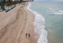 Menor es transportado de emergencia tras ataque de animal marino en Florida playa de Fort Lauderdale,