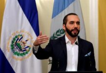 Bukele, tras noticia sobre la recaptura de líder pandillero: "Es un honor recibir ataques" El presiente Bukele