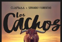 Guaynaa