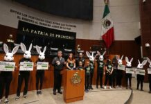 Piden prohibir pruebas en animales (1)