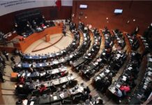 Senado mexicano avala consulta sobre revocación de mandato del presidente Senado mexicano