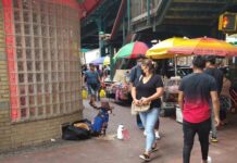 Surge venta ilegal de cachorros en los barrios latinos perro ambulante