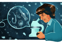 Google homenajea a la oceanógrafa española Ángeles Alvariño con un "doodle" Ángeles Alvariño