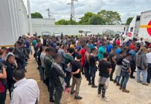 Interceptan a 334 migrantes en el estado mexicano de Veracruz inmigrantes