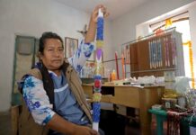 Las delicadas velas escamadas (1)