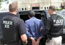 Los arrestos de ICE caen