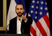 Nayib Bukele