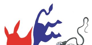 Maestro de Circo