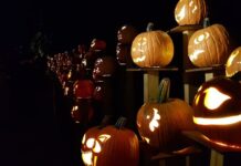 el reinado de la calabaza (5)