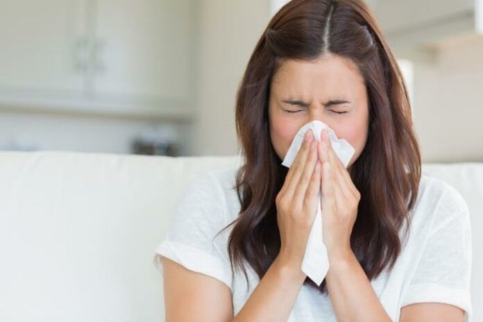 gripe común