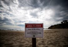 Trump anuncia perforaciones de petróleo en millones de acres frente a California y Florida vertido de petróleo en el sur de California (1)