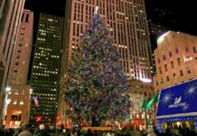 El árbol de Navidad del Rockefeller Center será encendido el 30 de noviembre Navidad
