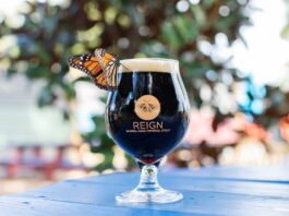Beber cerveza puede ahora ayudar a la conservación de las mariposas monarca
