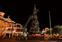 Disney World pasa sin transición de Halloween a una Navidad adelantada Disney World pasa sin transición de Halloween a una Navidad (1)
