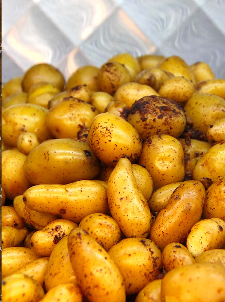 PAPAS
