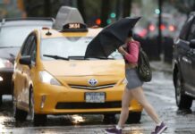 taxis amarillos