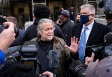 Steve Bannon