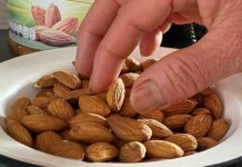 Consumir almendras podría revertir la prediabetes, concluyen dos estudios almendras