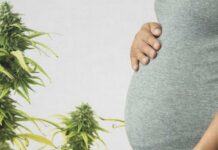 Denuncian que Georgia obliga a mantener viva a una embarazada con muerte cerebral cannabis en el embarazo