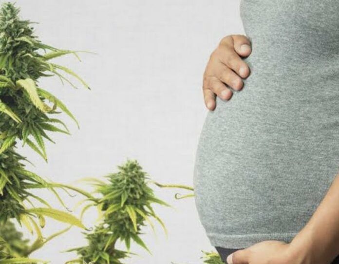 cannabis en el embarazo cannabis en el embarazo