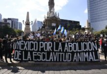 marchan en Ciudad de México contra el especismo (1)