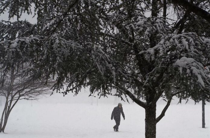 nieve