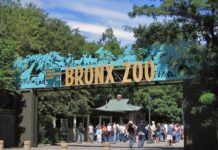 El Bronx, NY: Un destino al que hay que ir Bronx_Zoo_001.
