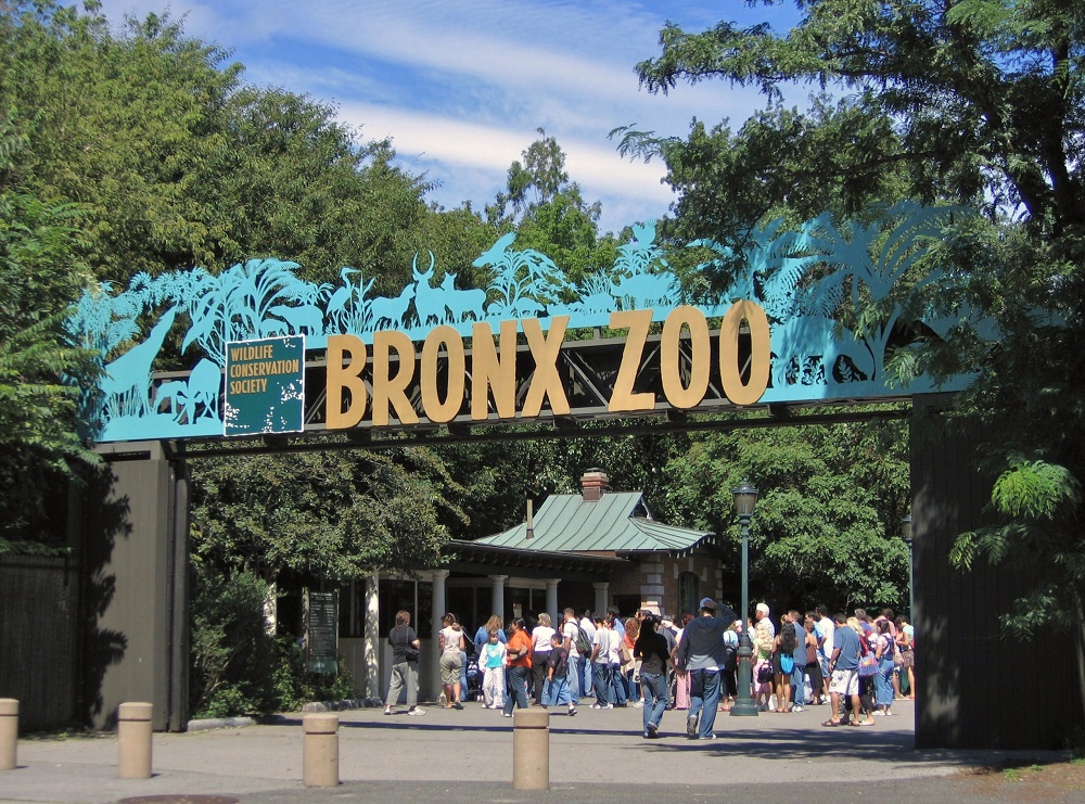Bronx_Zoo_001.